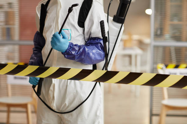 Professional Sewage Cleanup technician working in Centerton, AR